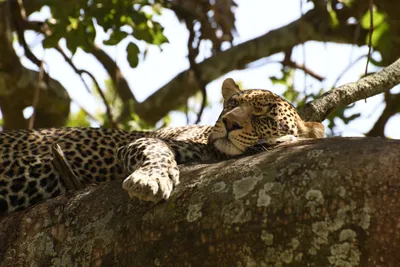 DSC_3992 (Large).JPG